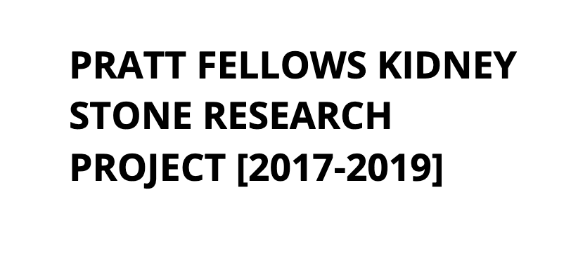 Pratt Fellows Research